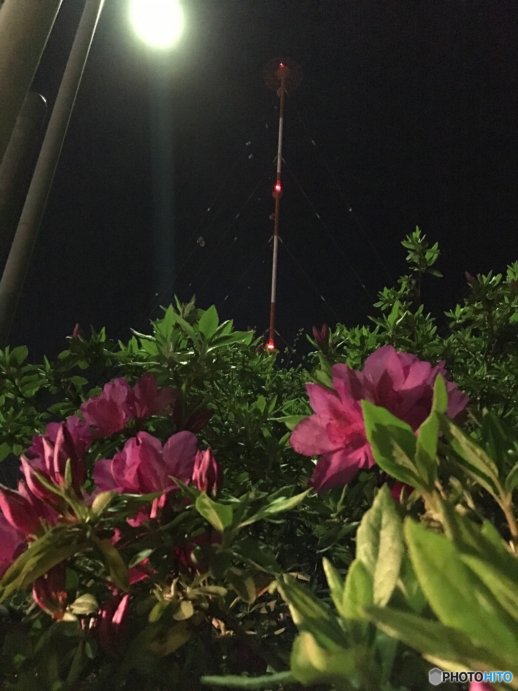照らされて