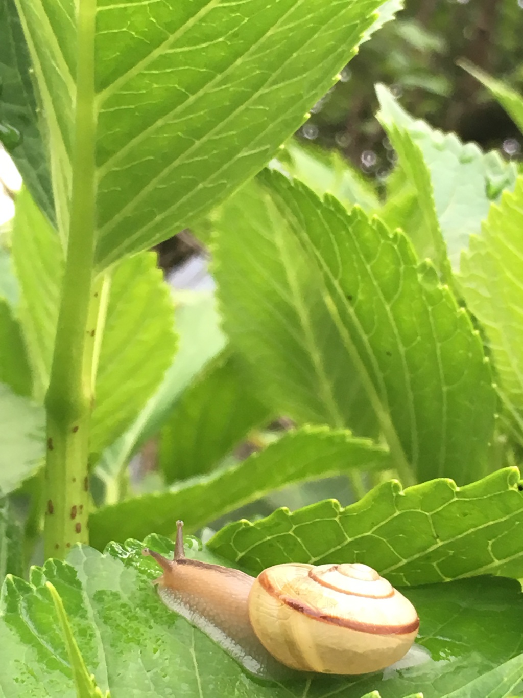 何処へ行く2