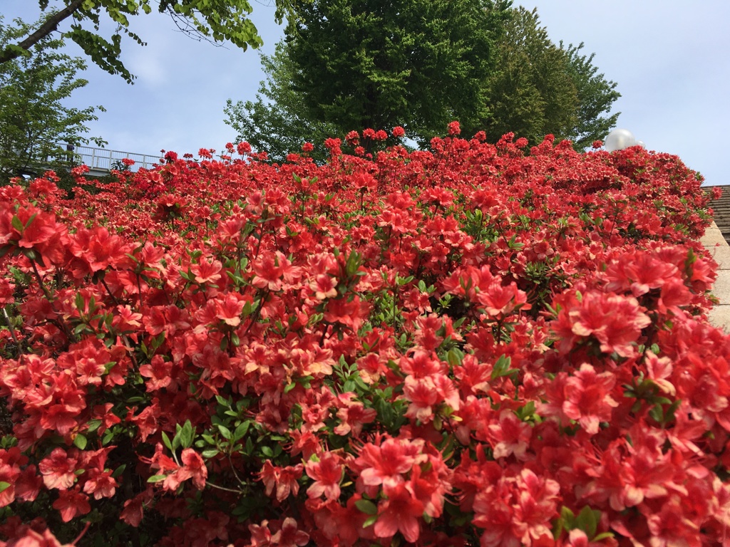西山公園15