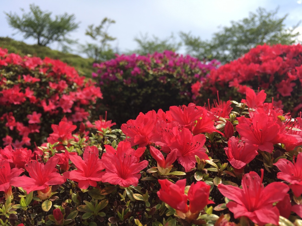 西山公園13