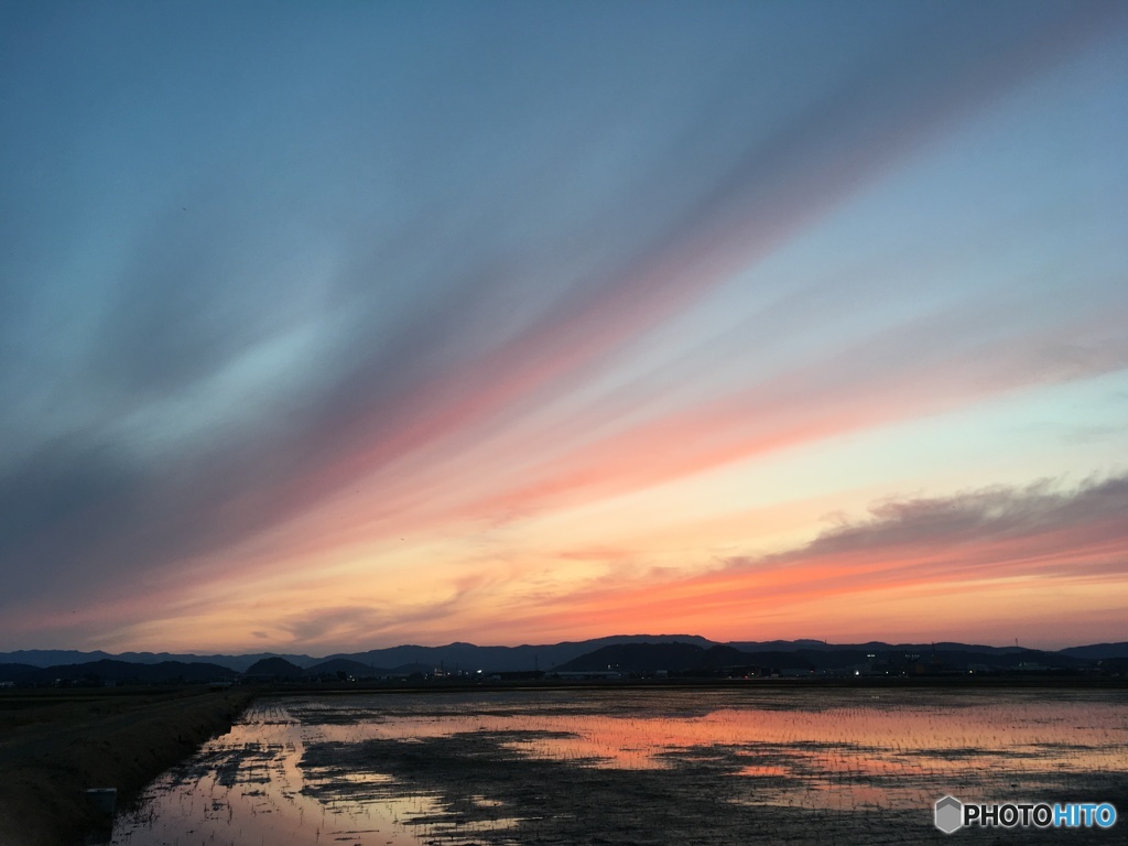 本日の夕暮れ④