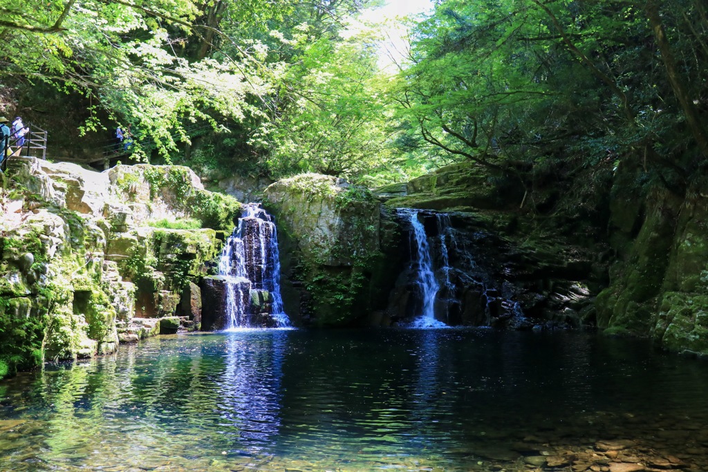 緑の楽園