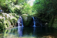 緑の楽園