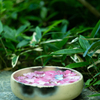 緑と紫陽花