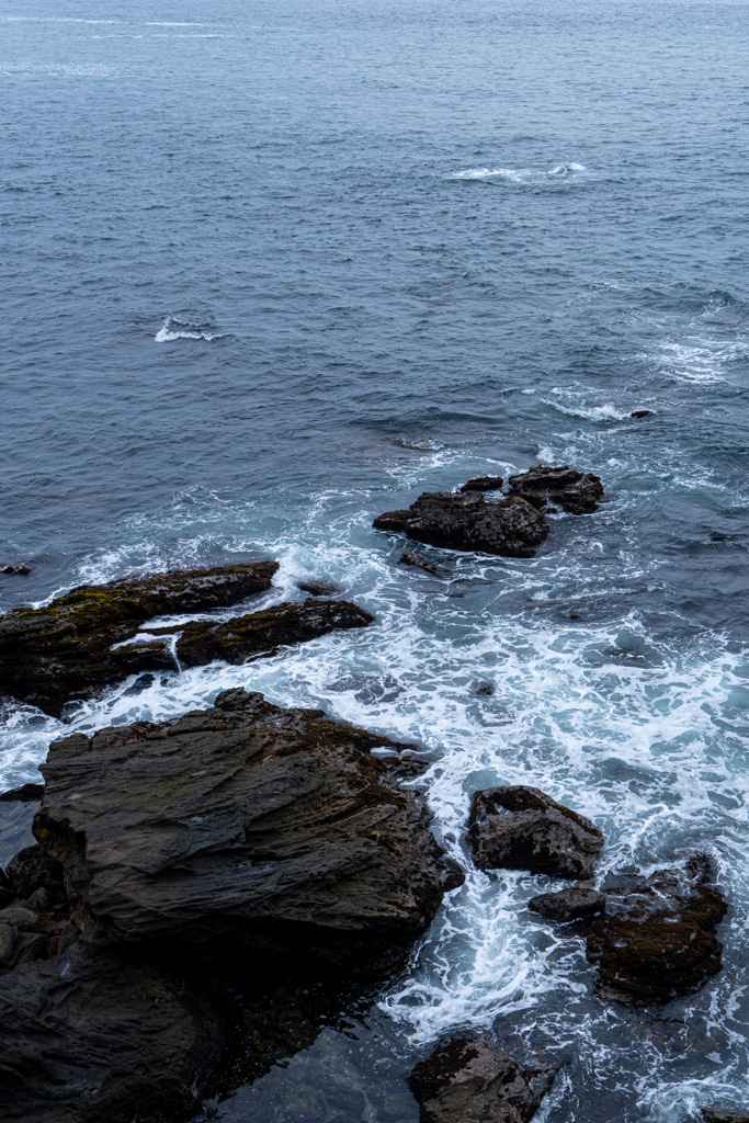 海岸