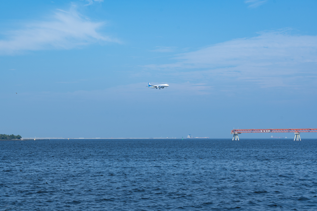 飛行機
