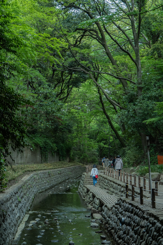 渓谷