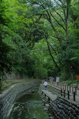 渓谷