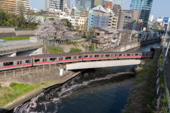 電車