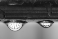 雨