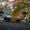 階段の紅葉