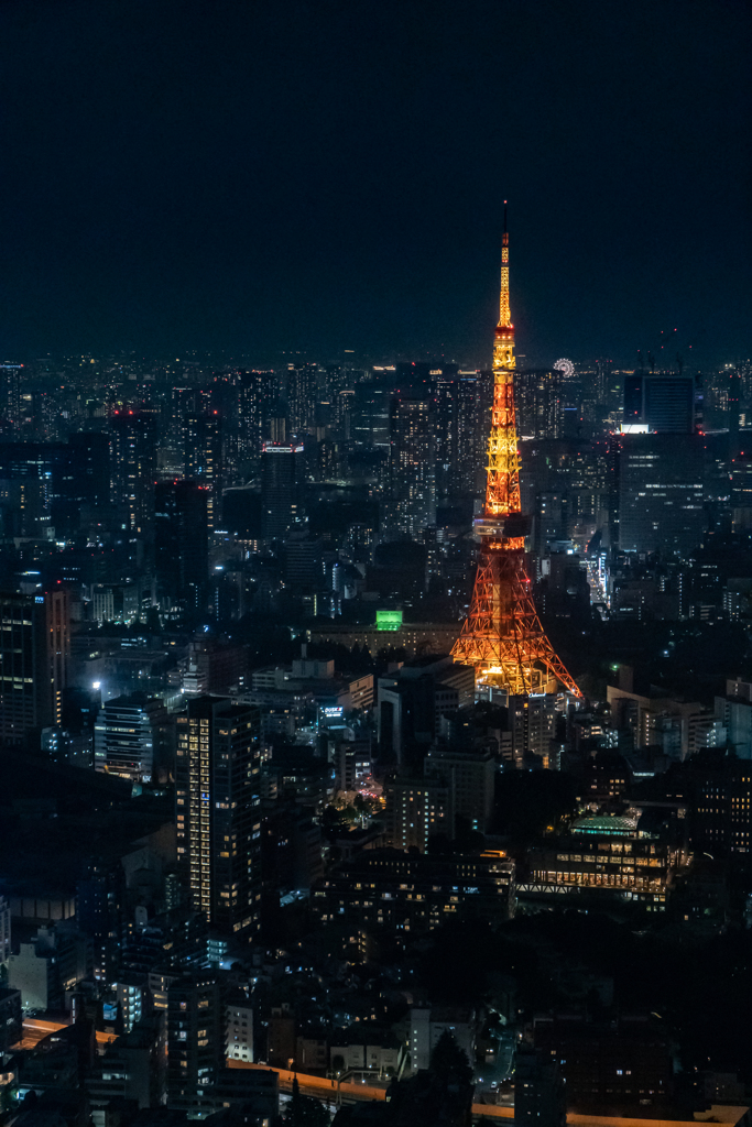 未来都市