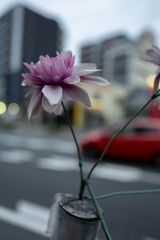 道の造花