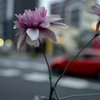 道の造花