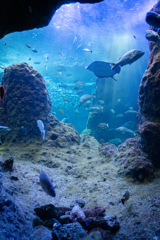 海底