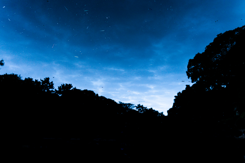 水の中の空