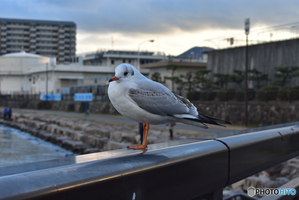 動かずいてくれてありがとう