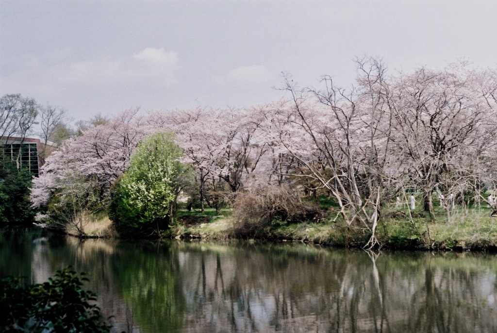 53B60BCD-F666-4490-9BED-663D06CEC821