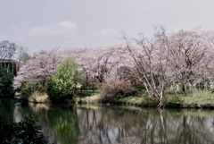 53B60BCD-F666-4490-9BED-663D06CEC821