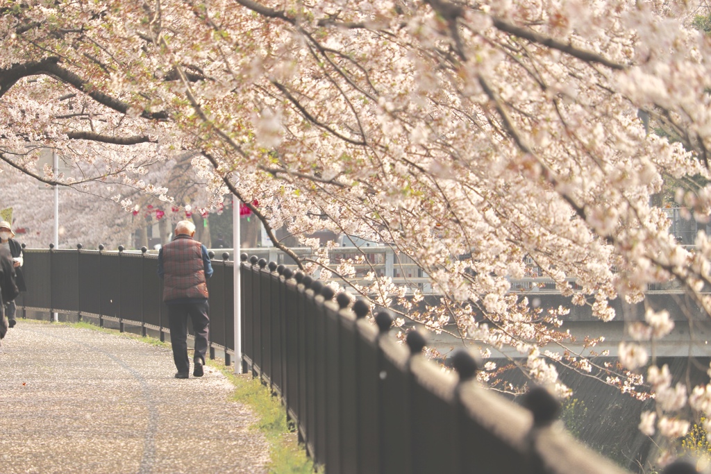 おじいちゃんとほのぼのした日