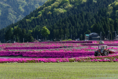 田植え帰り