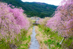 何気ない日常