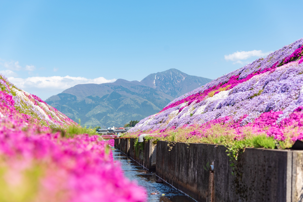 のどかな風景