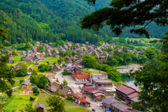 初夏の白川郷