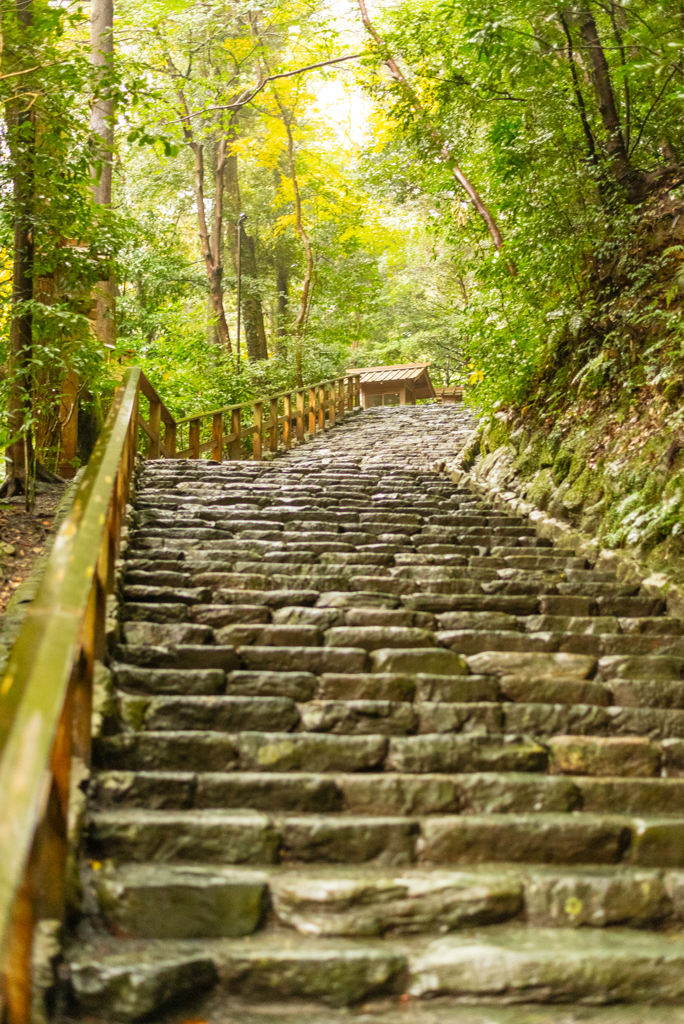 伊勢神宮　外宮①