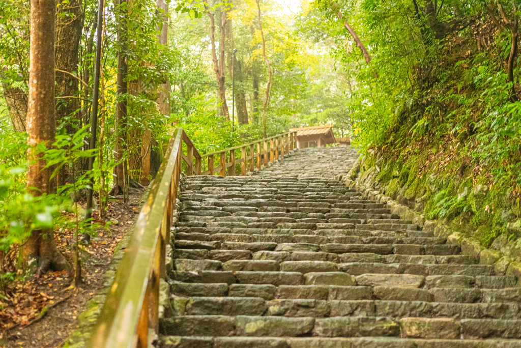 伊勢神宮　外宮①