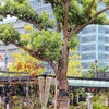 木水浴び