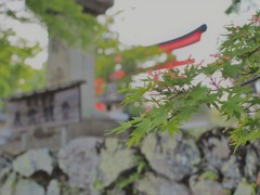 ちょっと立ち寄ったお寺