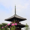 三重塔とコスモス2