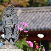 般若寺のお不動様