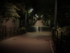 通り道