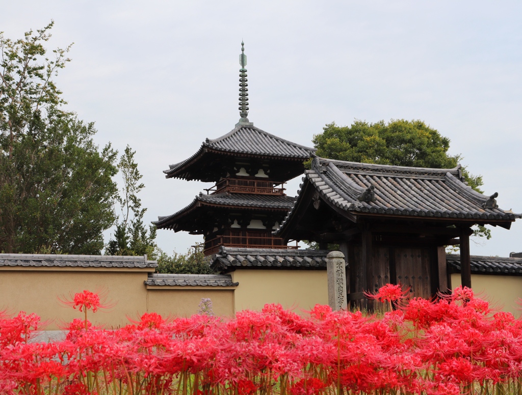 三重塔と曼珠沙華