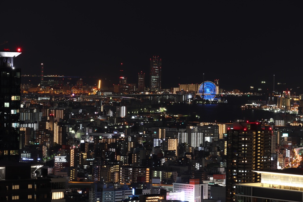 スカイタワーからの夜景