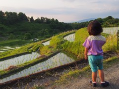 棚田と孫