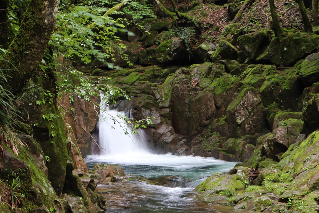 滝５