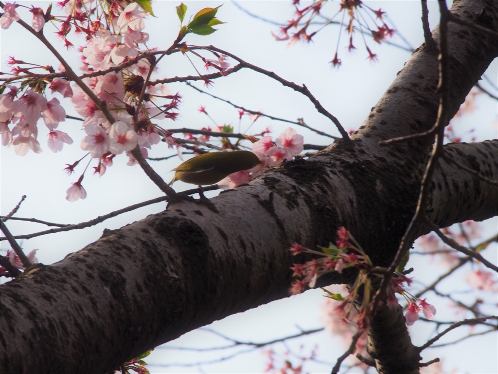 おなかすいた？