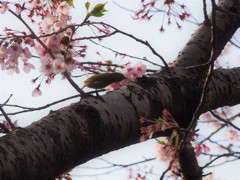 おなかすいた？