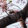おなかすいた？