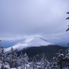 木々の間から浅間山