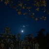 月夜の門