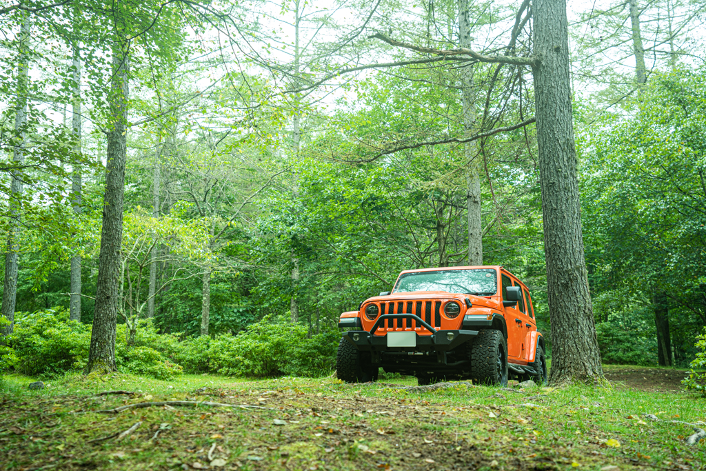 Jeep Halloween Color