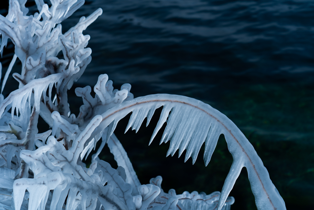 objects by nature