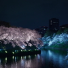 2019 04 06 千鳥ヶ淵 01