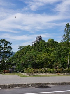 犬山城20190521