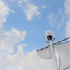 公園（2020年4月）　2