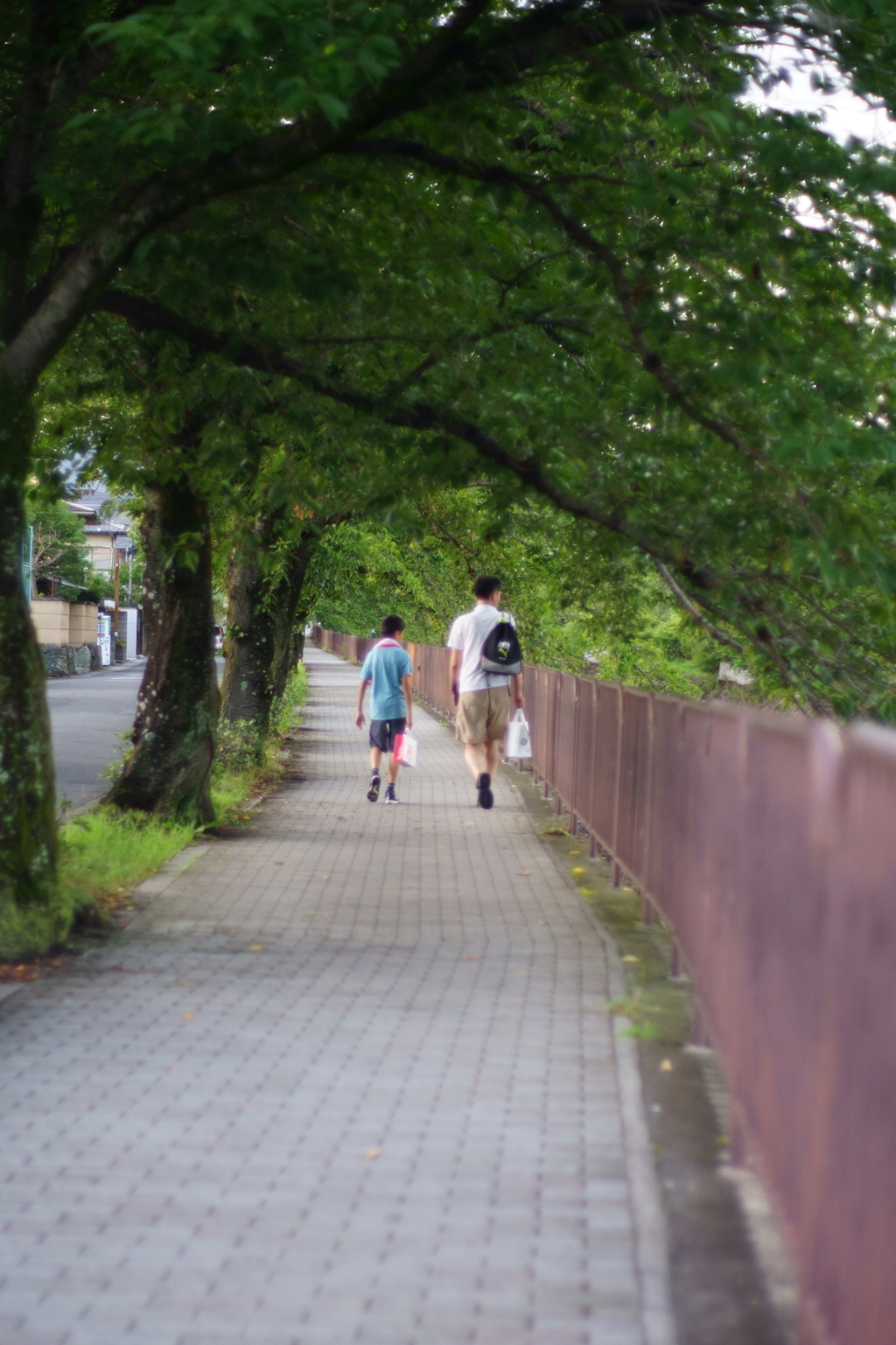 帰り道の親子